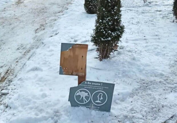 Київзеленбуд