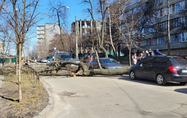 У Києві від шквального вітру падають дерева і "блимає" світло - ЗМІ