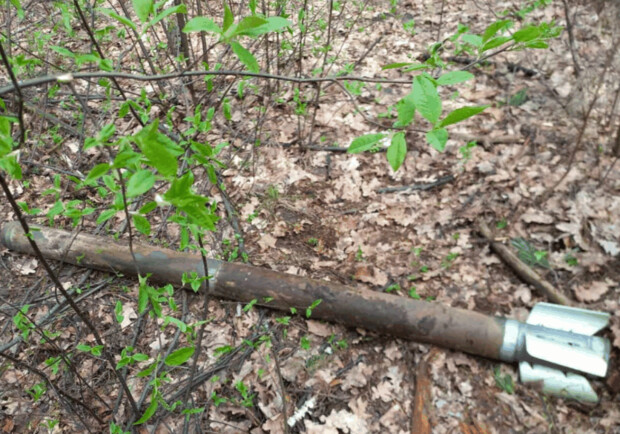 У київських лісах продовжують шукати снаряди. 
