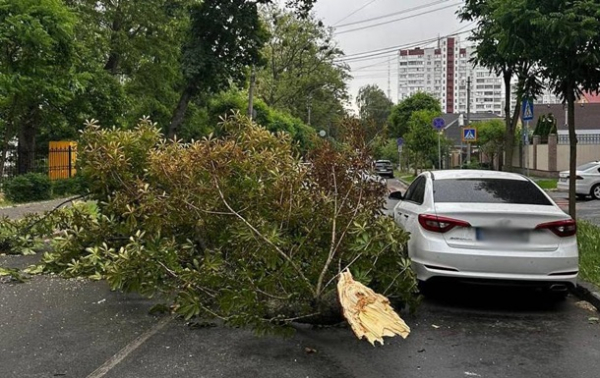 У Києві через падіння дерев ускладнений рух на двох вулицях 