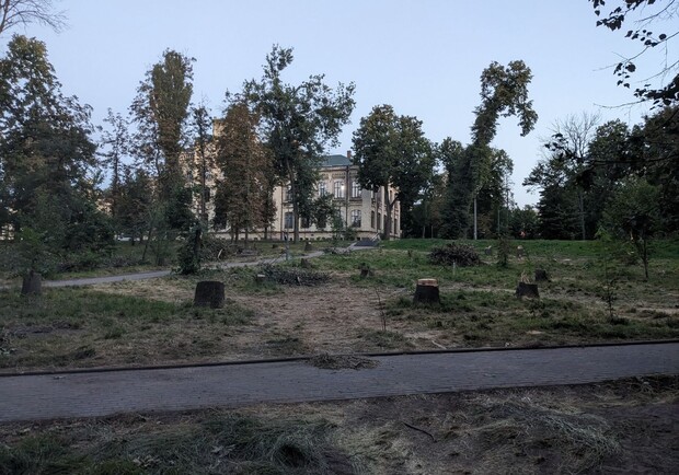 У "Київзеленбуді" прокоментували видалення дерев у парку КПІ - 