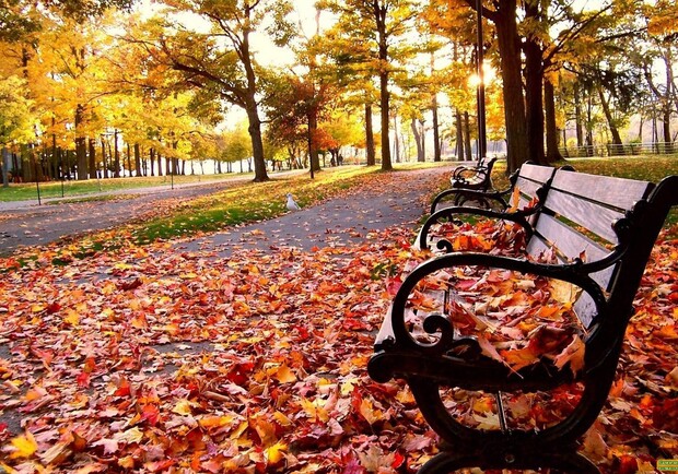 Яка погода буде до кінця вересня у Києві: прогноз - фото