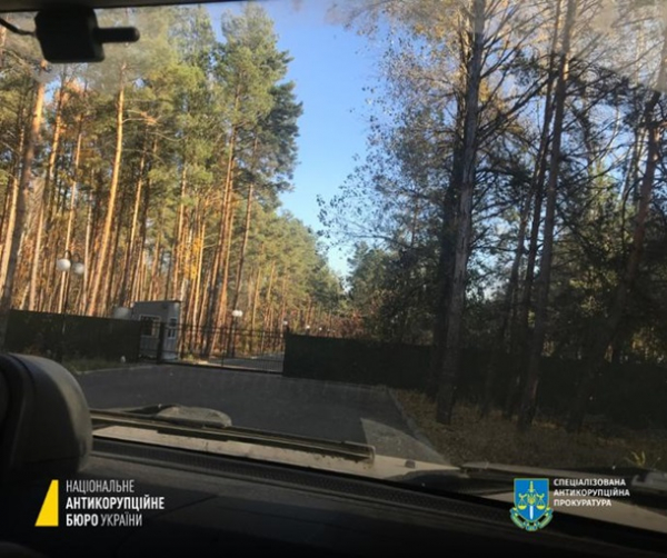 На Київщині викрили схему заволодіння 2,24 га лісових угідь