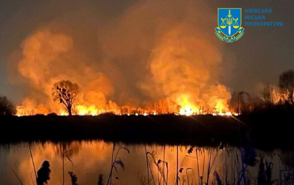 У Києві розслідують пожежу на території заказників 