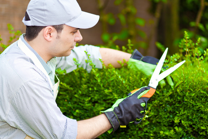 Послуги садівника – садові послуги садівника у Запоріжжі, Києві, Дніпрі. - La Rossa