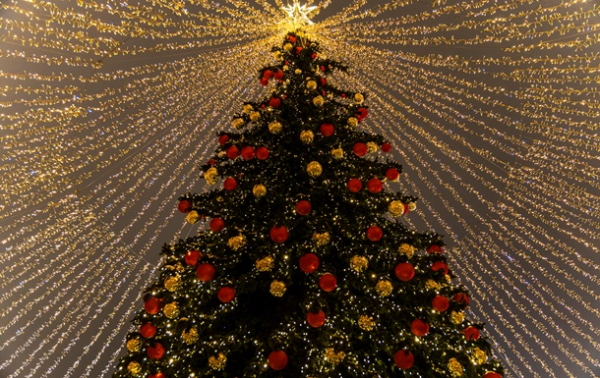 У Києві почали встановлювати головну ялинку країни